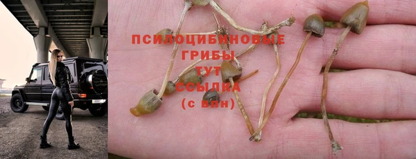 меф Абдулино