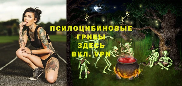 дживик Абаза