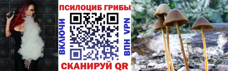 где купить наркоту  Александров  Псилоцибиновые грибы MAGIC MUSHROOMS 